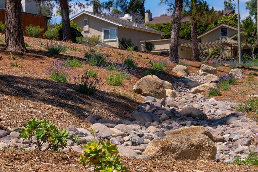 The finished project is estimated to reduce water use by almost two million gallons annually. Their total project costs prior to the rebate were approximately $120,000. After the rebates, the HOA paid just $13,000 for the project. Photo: Courtesy Rancho San Diego Association Landscape Optimization ServiceThe finished project is estimated to reduce water use by almost two million gallons annually. Their total project costs prior to the rebate were approximately $120,000. After the rebates, the HOA paid just $13,000 for the project. Photo: Courtesy Rancho San Diego Association Landscape Optimization Service