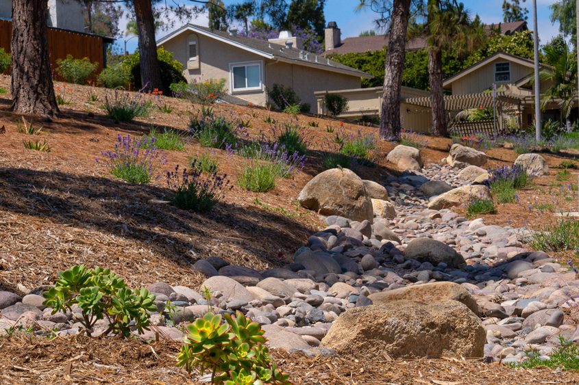 spring-valley-hoa-and-watershed-benefit-from-landscape-optimization