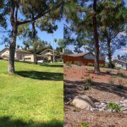 Water Conservation-A side by side look at before and after photos of the Rancho San Diego Association landscape renovation, completed with assistance from the County's Landscape Optimization Service. Photos: Courtesy Rancho San Diego HOA