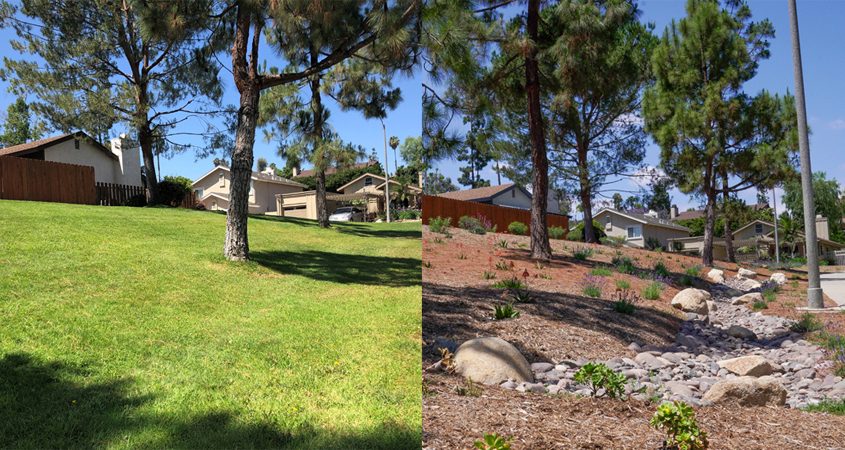 Water Conservation-A side by side look at before and after photos of the Rancho San Diego Association landscape renovation, completed with assistance from the County's Landscape Optimization Service. Photos: Courtesy Rancho San Diego HOA