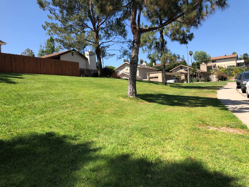 Rancho San Diego Association, the first HOA to complete a project through the program and a customer of Otay Water District and Helix Water District, replaced nearly 40,000 square feet of unused grass and installed smart irrigation timers. Photo: Courtesy Rancho San Diego Association