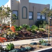 WaterSmart landscapes are attractive and in balance with the regional environment and climate - and beautiful, too. Photo: San Diego County Water Authority step-by-step process