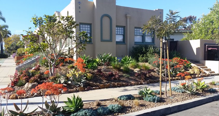 WaterSmart landscapes are attractive and in balance with the regional environment and climate - and beautiful, too. Photo: San Diego County Water Authority step-by-step process