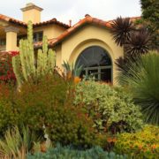 Before you get started on your WaterSmart landscaping makeover, there are significant decisions to make about plant and irrigation choices. Photo: San Diego County Water Authority