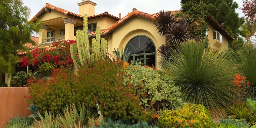 Before you get started on your WaterSmart landscaping makeover, there are significant decisions to make about plant and irrigation choices. Photo: San Diego County Water Authority
