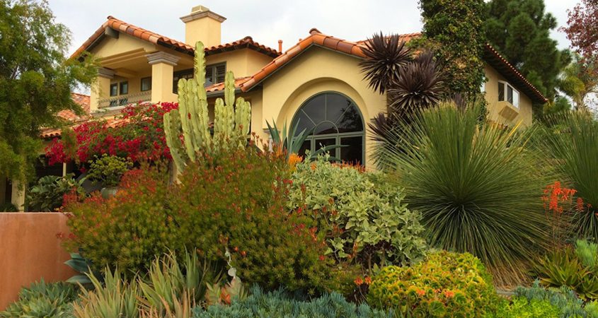 Before you get started on your WaterSmart landscaping makeover, there are significant decisions to make about plant and irrigation choices. Photo: San Diego County Water Authority