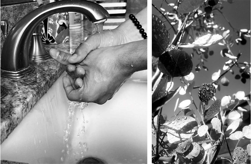 Honorable Mention, Black and White category: (L) Esteban Robledo, 12th Grade, Hilltop High School, “Handwashing Against The Virus;” (R) Janet Mendoza, 11th Grade, Hilltop High School, “Backyard Beauty.” Photo: Sweetwater Authority