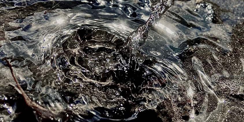 2nd Place: Huynh Hoang, Bonita Vista High School, Grade 12 – “Drip Drip.” Photo: Sweetwater Authority