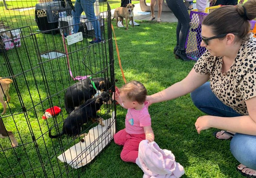 San Diego County dog adoption agencies participating at the event placed seven dogs in new homes. Photo: Vallecitos Water District