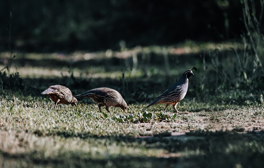 Second Place winner: Lucas Sides, “A Day At The Lake.” Photo: Helix Water District 