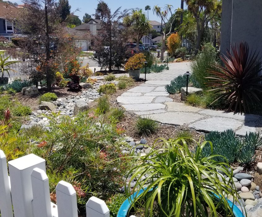 The Godfreys installed a drip irrigation system that provides a low volume of water that is healthy for plants and trees while resulting in little to no evaporation. Photo: Olivenhain Municipal Water District