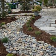 Mike and Cathy Godfrey’s water-efficient landscape design features a diverse array of drought-tolerant plants. Photo: Olivenhain Municipal Water District landscape diversity