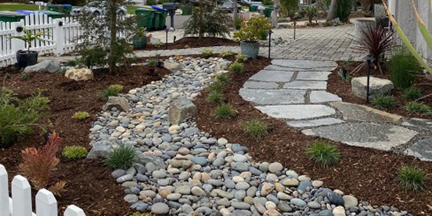 Mike and Cathy Godfrey’s water-efficient landscape design features a diverse array of drought-tolerant plants. Photo: Olivenhain Municipal Water District landscape diversity