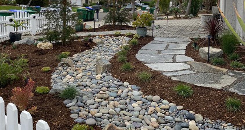 Mike and Cathy Godfrey’s water-efficient landscape design features a diverse array of drought-tolerant plants. Photo: Olivenhain Municipal Water District landscape diversity