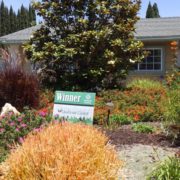 The Cavanah family's colorful, watersmart landscape is the winner of the 2022 Sweetwater Authority Landscape Makeover contest. Photo: Sweetwater Authority less water