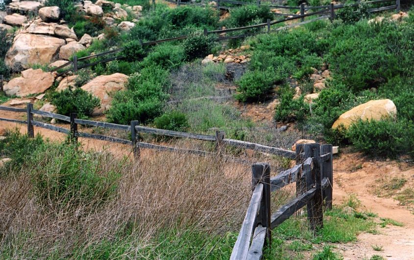 The 784-acre Elfin Forest Recreational Reserve offers 11 miles of hiking, biking, and equestrian trails. Photo: Olivenhain Municipal Water District