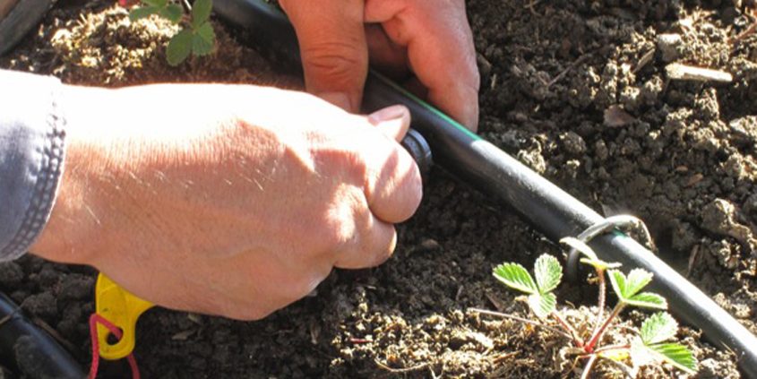 Take time to learn about your possibleWaterSmart Living irrigation choices. Photo: San Diego County Water Authority