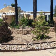 Jennifer Dell was selected as the Vista Irrigation District's 2022 WaterSmart Landscape Contest winner for her creative, colorful use of materials and plants. Photo: Vista Irrigation District