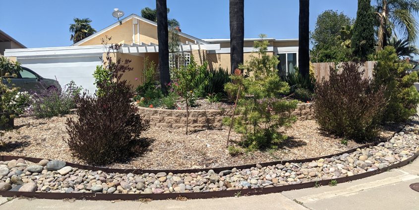 Jennifer Dell was selected as the Vista Irrigation District's 2022 WaterSmart Landscape Contest winner for her creative, colorful use of materials and plants. Photo: Vista Irrigation District