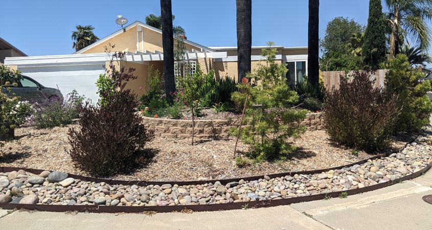 Jennifer Dell was selected as the Vista Irrigation District's 2022 WaterSmart Landscape Contest winner for her creative, colorful use of materials and plants. Photo: Vista Irrigation District