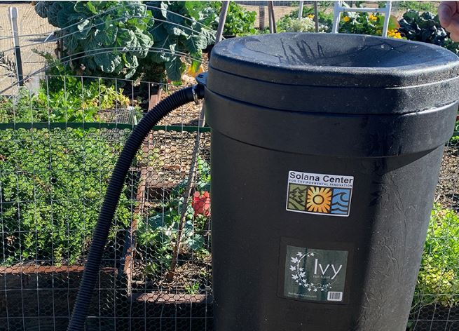 rain barrel-water conservation-drought-rain barrels