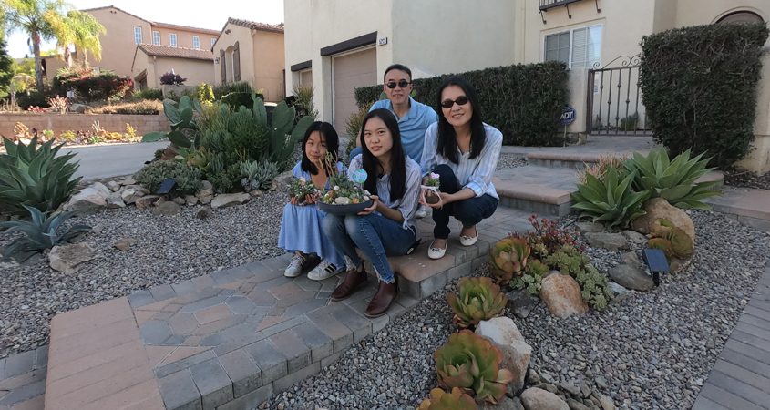 The Chens transformed their love for succulents into an award-winning landscape makeover. Photo: Vallecitos Water District