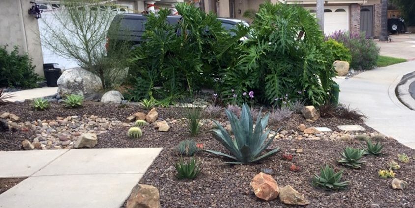 Fall tips-water saving-drought