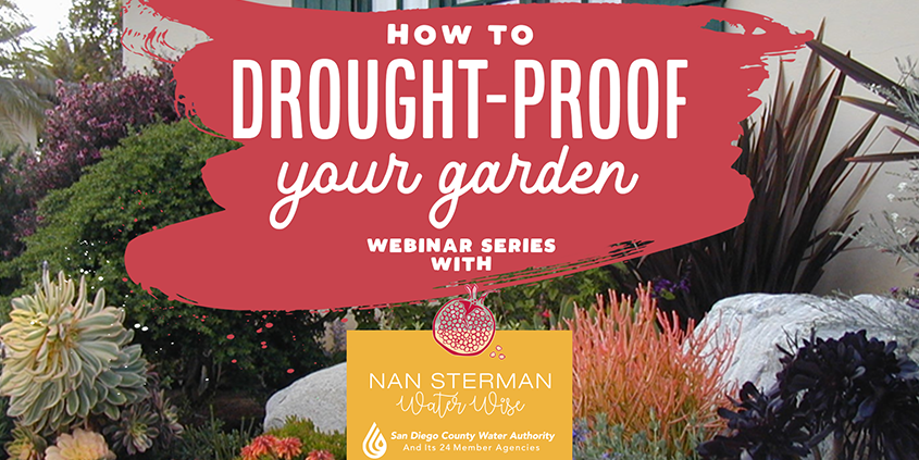 Drought-Proof Your Garden-webinar-Nan Sterman