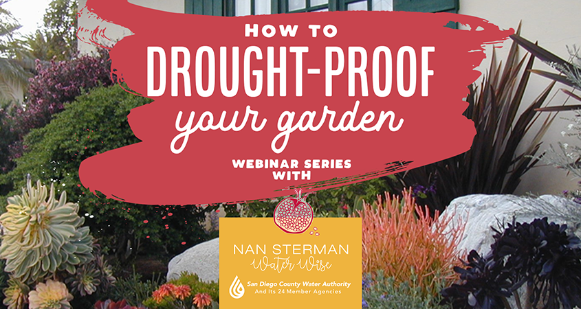 Drought Proof Your Garden Webinars