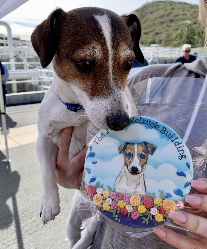 Dawn McDougle's dog Farley joined in the dedication ceremony. Photo: Vallecitos Water DIstrict Dawn McDougle honored