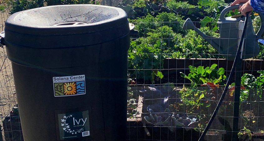 To encourage water conservation as drought conditions persist, North County water district offer discounted rain barrels to area residents. Photo: Solana Center