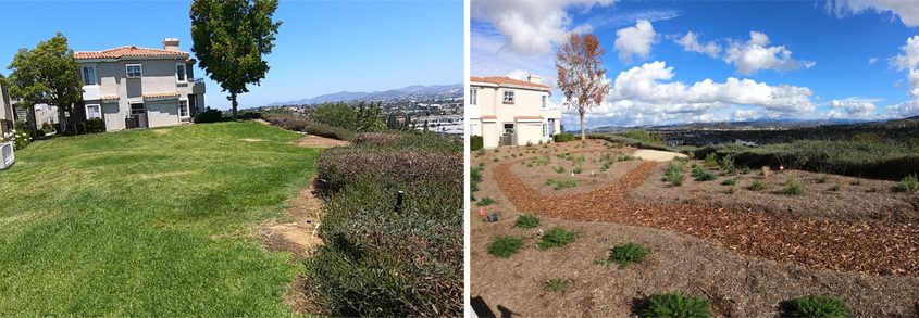 An example of the transformation of the Panorama HOA landscaping. Photos: Vallecitos Water District