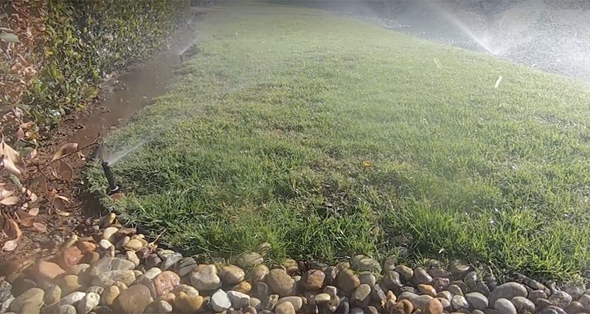 When irrigation systems overflow from landscaping, runoff may carry pollutants like pesticides, herbicides, and fertilizers into the storm drain system and cause adverse effects. Photo: Vallecitos Water District
