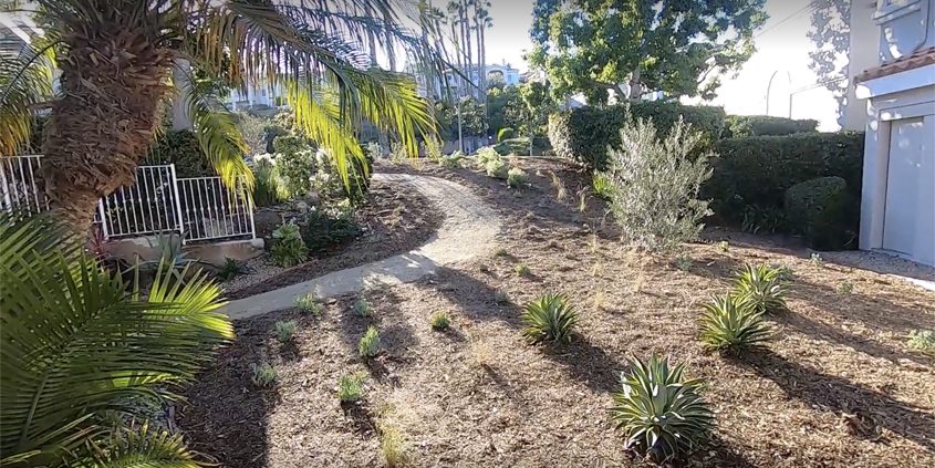 The Panorama HOA in Lake San Marcos achieved beautiful results from its landscaping makeover project, which will conserve water and preserve the region's watershed. Photo: Vallecitos Water DistrictHOA landscape makeover