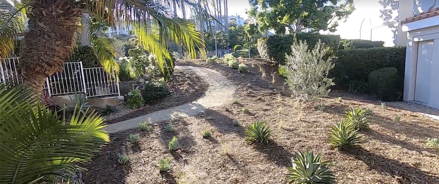 SLIDER The Panorama HOA in Lake San Marcos achieved beautiful results from its landscaping makeover project, which will conserve water and preserve the region's watershed. Photo: Vallecitos Water District
