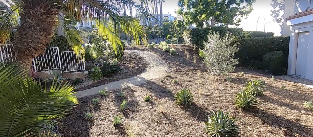 SLIDER The Panorama HOA in Lake San Marcos achieved beautiful results from its landscaping makeover project, which will conserve water and preserve the region's watershed. Photo: Vallecitos Water District landscape rebates