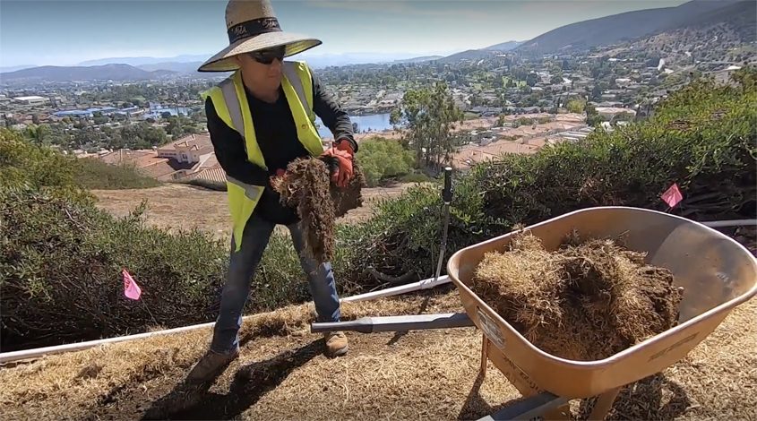 Removing turf yields multiple benefits including water conservation, watershed protection, and potential cost savings. Photo: Vallecitos Water District HOA landscape makeovers