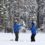 Snow Survey: Good Start but Drought Relief Depends on Coming Months