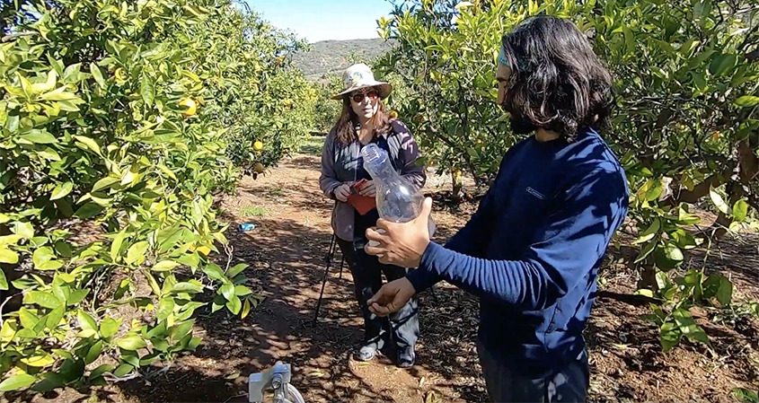 When he learned about the PSAWR program through the Vallecitos Water District, Pezeshkian discovered additional options plus a support system to help guide him through the process.