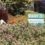 Every Day is Earth Day for Water Agencies in San Diego County