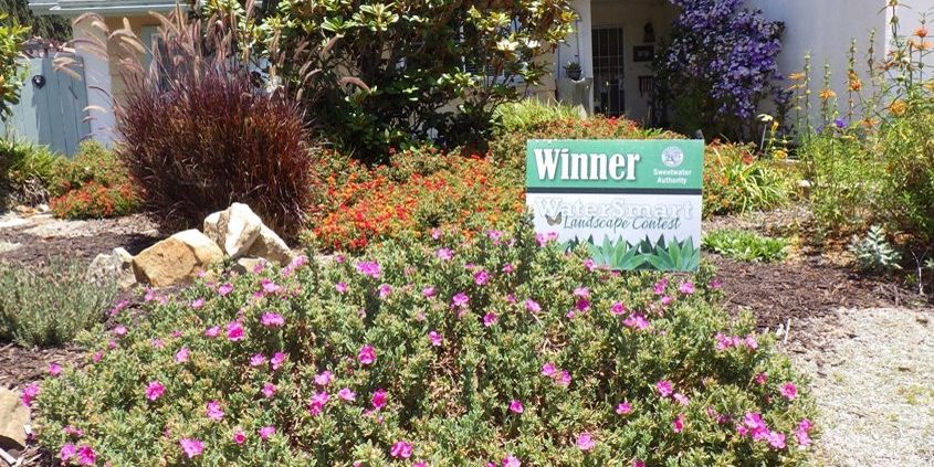 Earth Day-Earth Day 2023-Landscape Makeover-Water Conservation