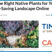 The “Water Smart Living” series of articles created by Water Resources Specialist Joni German and also published as a public service in the Times of San Diego won a CAPIO Award of Distinction in the Writing category. outreach efforts