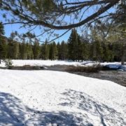 California snowlines-Scripps Institution of Oceanography-study-Climate Change