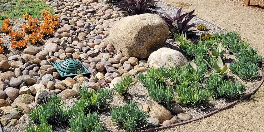 The sustainable landscape demonstration garden at the Olivenhain Municipal Water District’s (OMWD) headquarters provides customers with examples of water-efficient landscaping techniques that can save water and money.