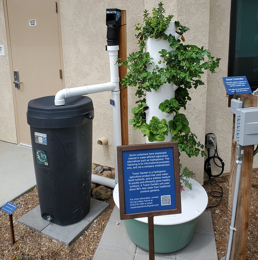 A hydroponic growing system called a Tower Garden is the newest addition to the Olivenhain Municipal Water District's demonstration garden. Photo: Olivenhain Municipal Water District