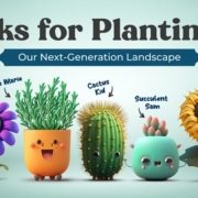 Thanks for Planting Me!-Landscape Transformation-water conservation-landscapes