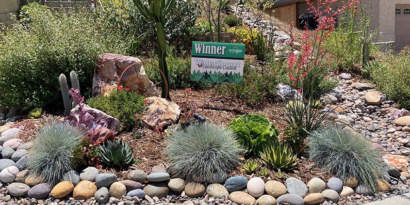 The winning landscape makeover using Nifty Fifty plant choices. Photo: City of Escondido