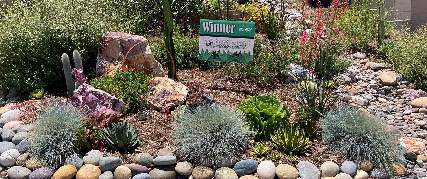 SLIDER The winning landscape makeover using Nifty Fifty plant choices. Photo: City of Escondido