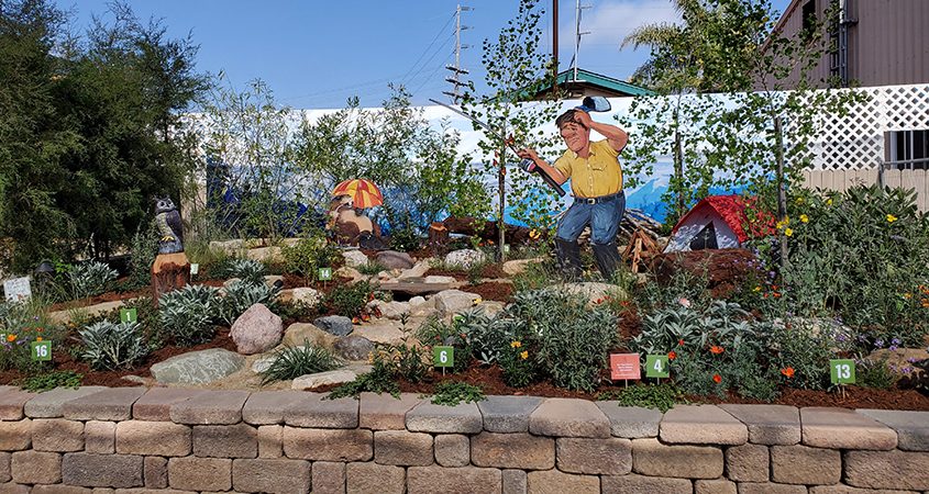 The California Native Plant Society used a variety of plants, all identified with signage to educate visitors. Photo: California Native Plant Society