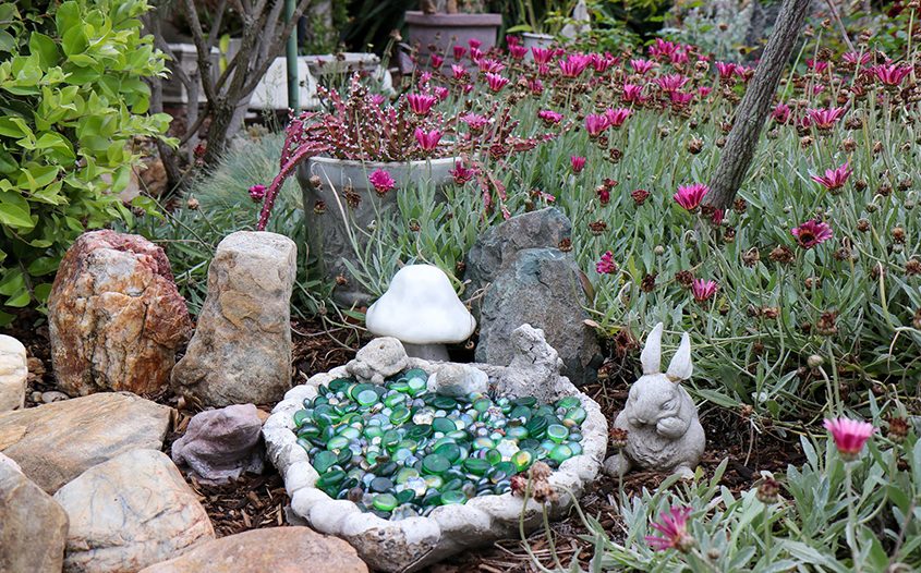 Share your landscape makeover skills in next year's contest to inspire your neighbors. Photo: Helix Water District 2024 landscape makeover contest